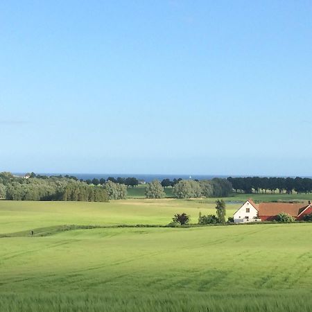 Garden Mellan Slotten Svarte Exterior foto