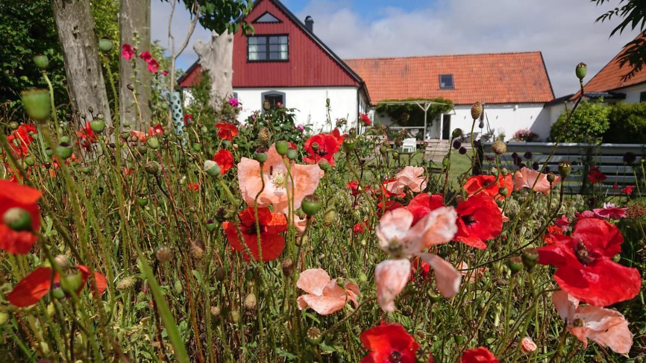 Bed and Breakfast Garden Mellan Slotten Svarte Exterior foto