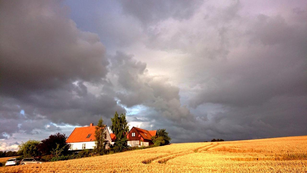 Garden Mellan Slotten Svarte Exterior foto