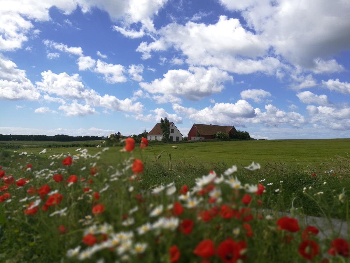 Bed and Breakfast Garden Mellan Slotten Svarte Exterior foto