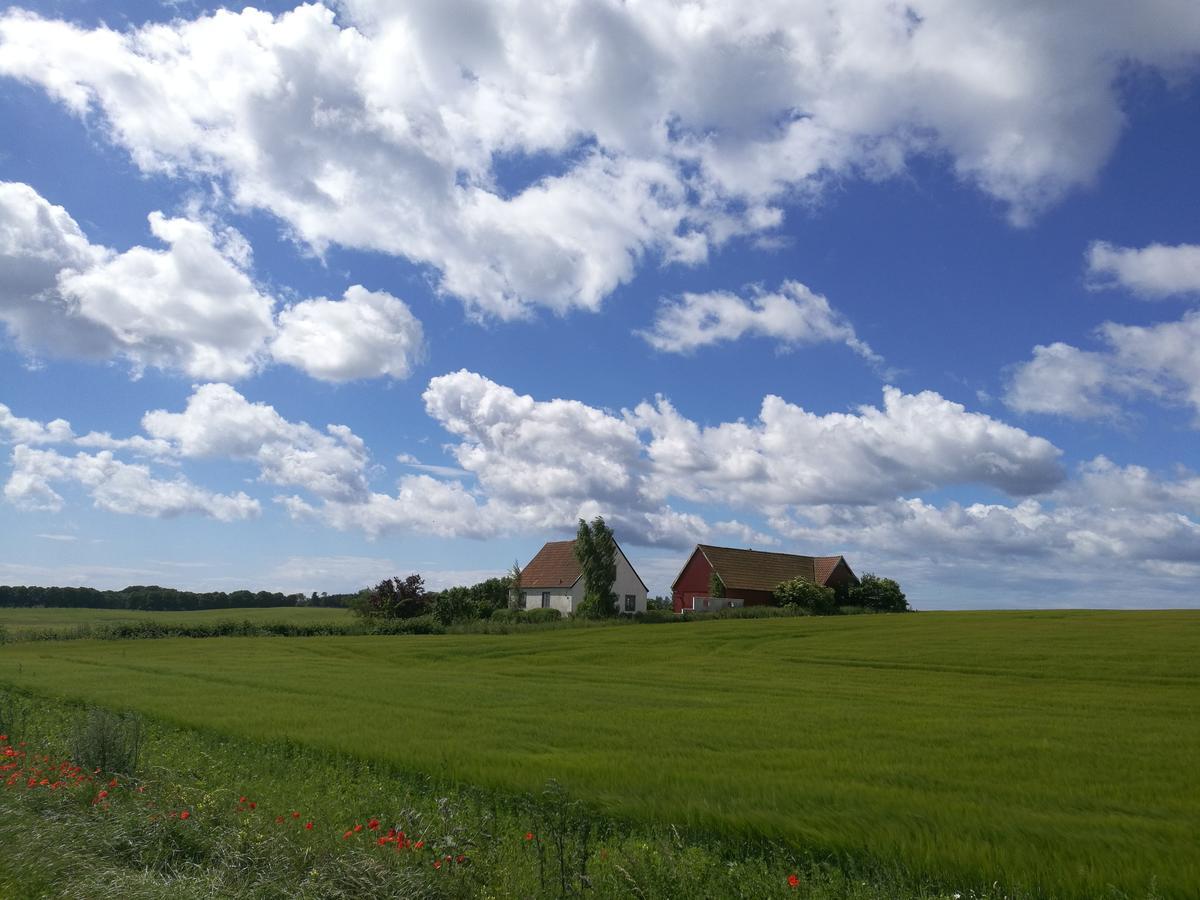 Bed and Breakfast Garden Mellan Slotten Svarte Exterior foto