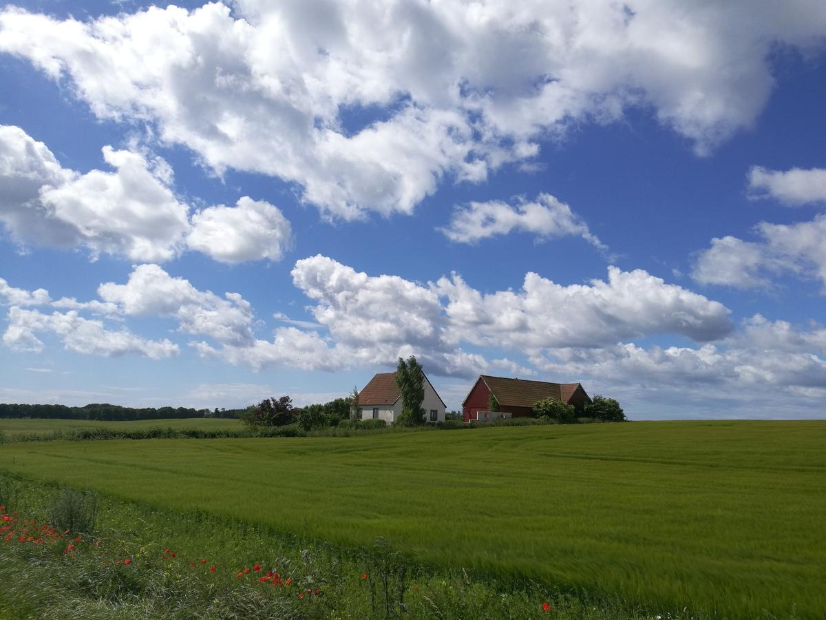 Garden Mellan Slotten Svarte Exterior foto