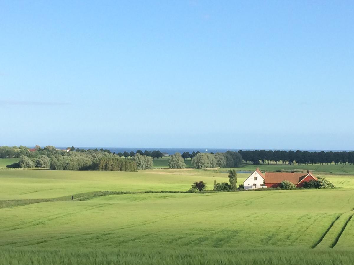Garden Mellan Slotten Svarte Exterior foto