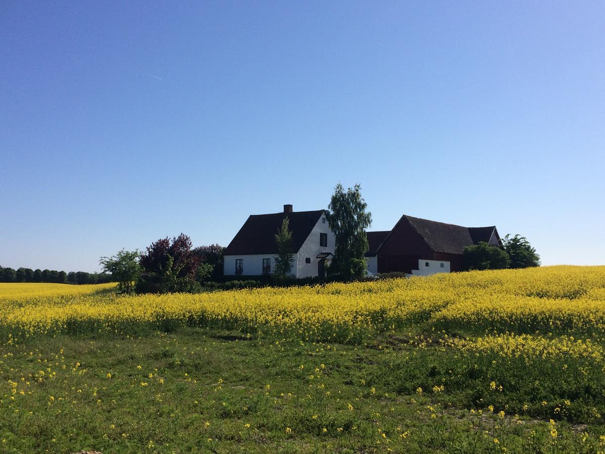 Garden Mellan Slotten Svarte Exterior foto