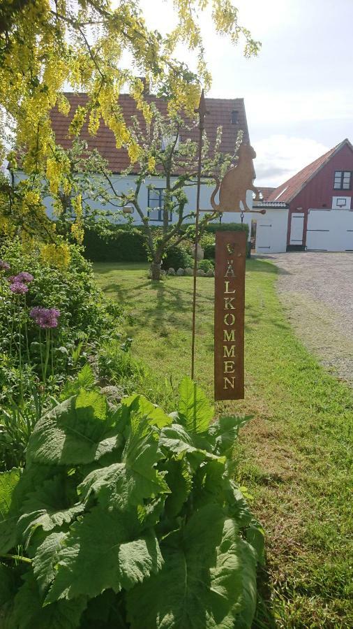 Bed and Breakfast Garden Mellan Slotten Svarte Exterior foto