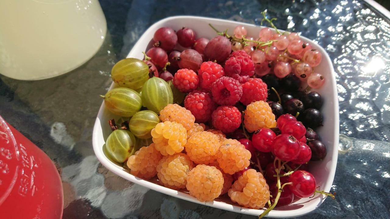 Garden Mellan Slotten Svarte Exterior foto